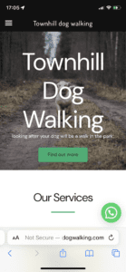 Townhill dog walking